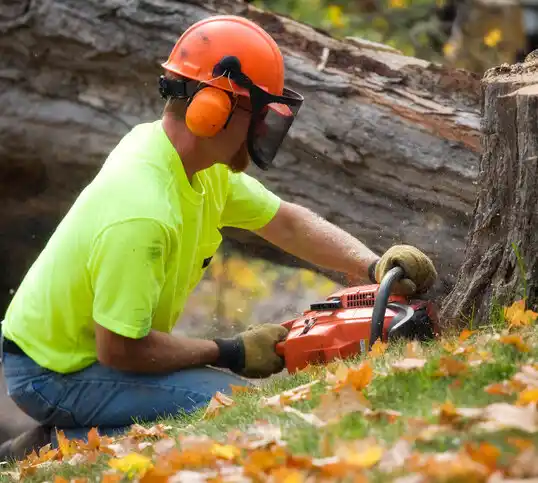 tree services North Lindenhurst